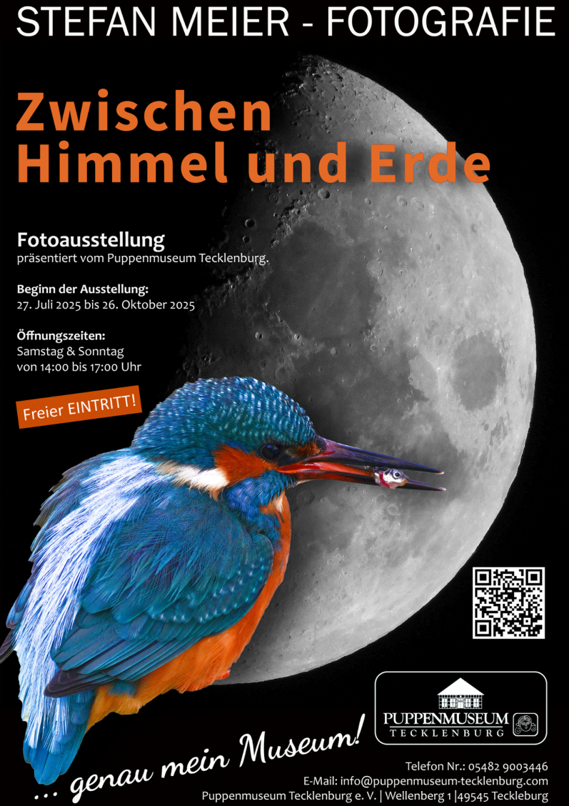Plakat für eine Fotoausstellung mit einem Eisvogel und einem Mond im Hintergrund.